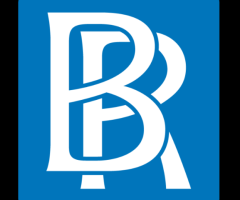 BERNHARDT Mold Inspection, Remediation, and Restoration
