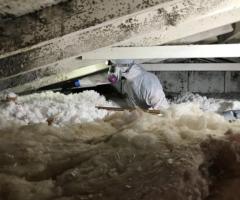 All Suburban Mold Service Inc