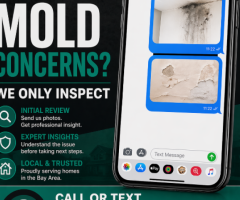 California Mold Inspectors |  San Ramon, CA