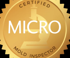 California Mold Inspectors |  San Ramon, CA