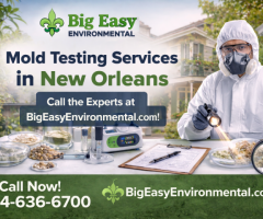 BigEasyEnvironMenal New Orleans