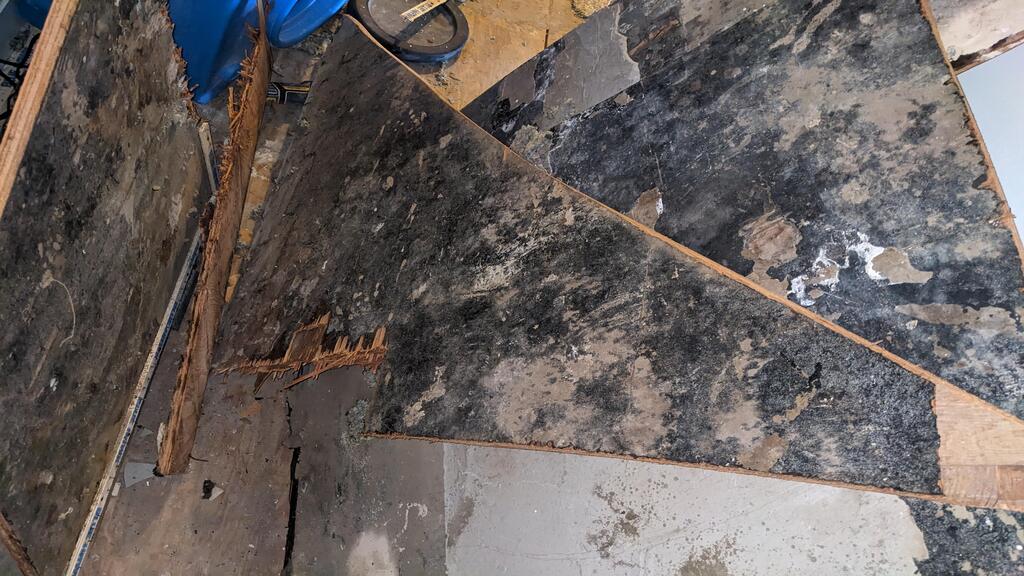 Affordable Mold Removal & Remodeling