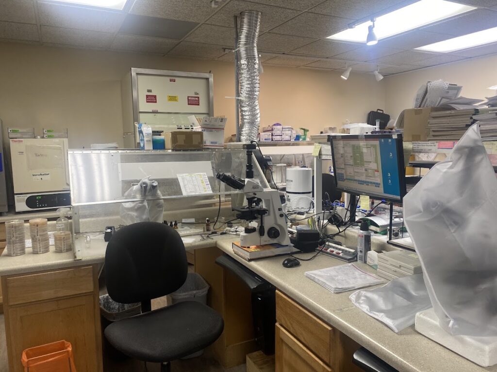 Air Allergen & Mold Testing