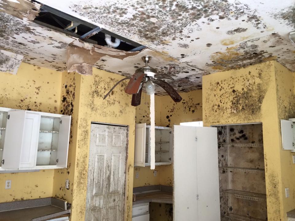 Air & Surface Disinfection