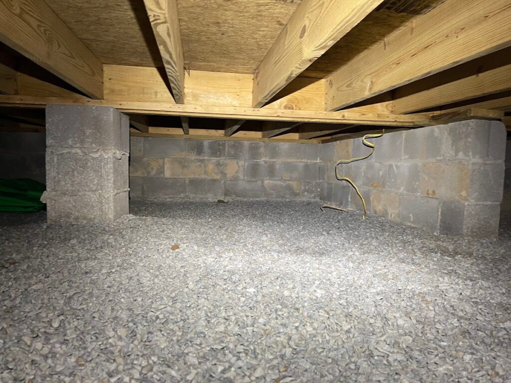 Alabama Mold Pros
