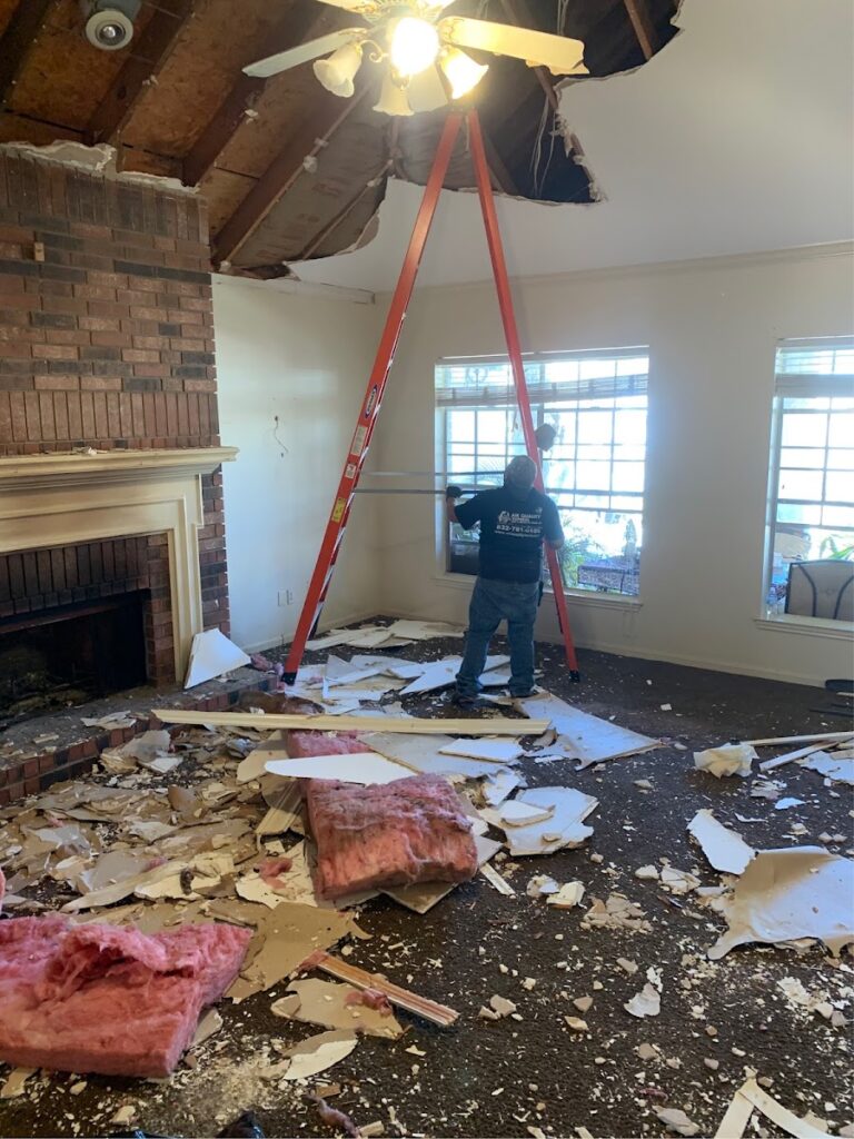 AQE Mold & Water Restoration