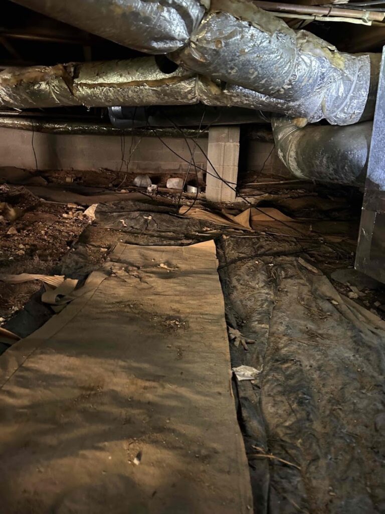 Atlanta Mold and cleaning LLC Mold Removal & Testing