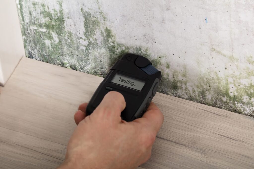 Bay Area Mold Pros