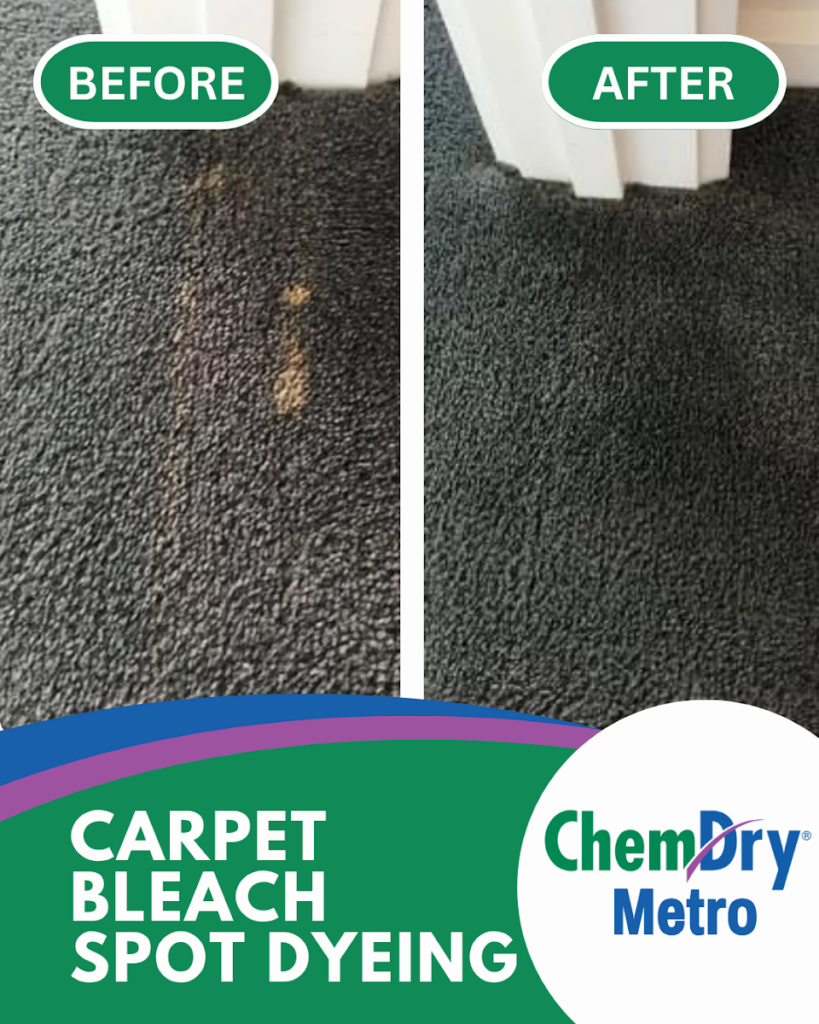 ChemDry Metro Carpet Cleaning Melbourne