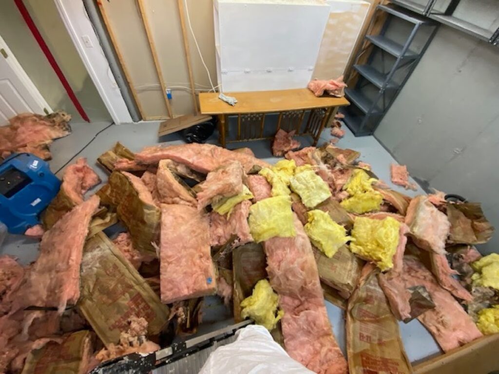 Connecticut Mold
