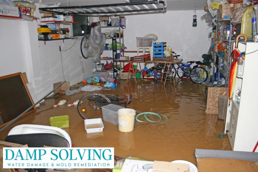 Damp Solving Water & Mold
