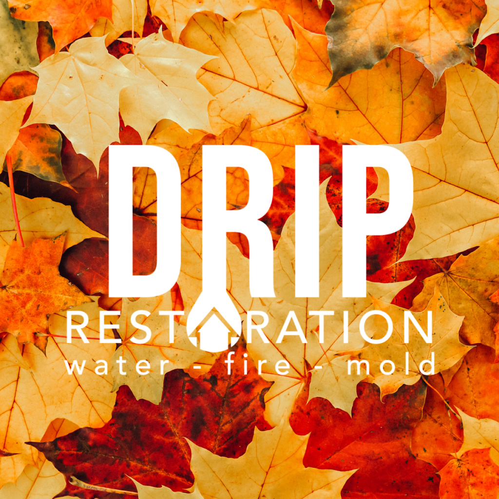 Drip Restoration