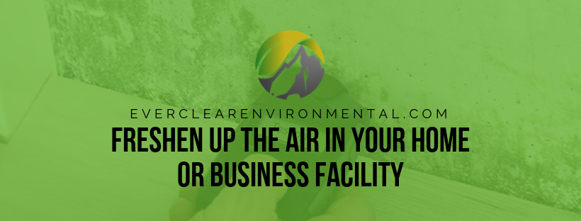 Everclear Environmental Solutions