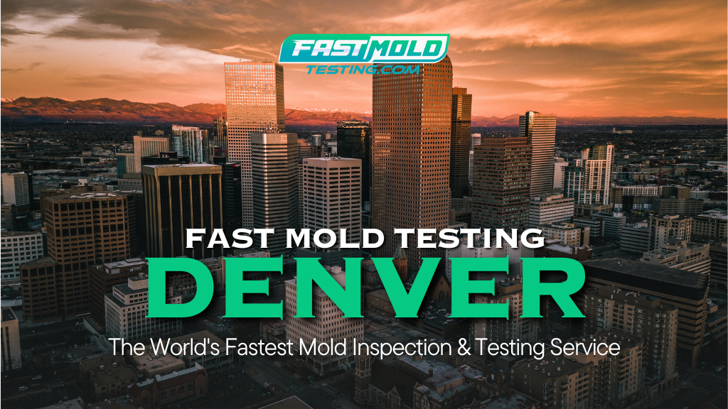 Fast Mold Testing – Denver