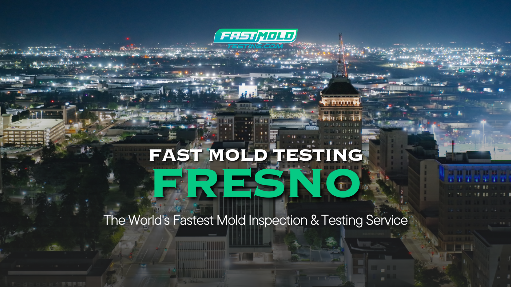 Fast Mold Testing – Fresno