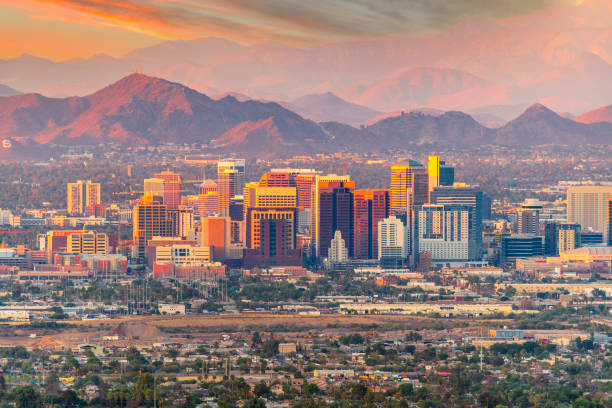 Fast Mold Testing – Phoenix
