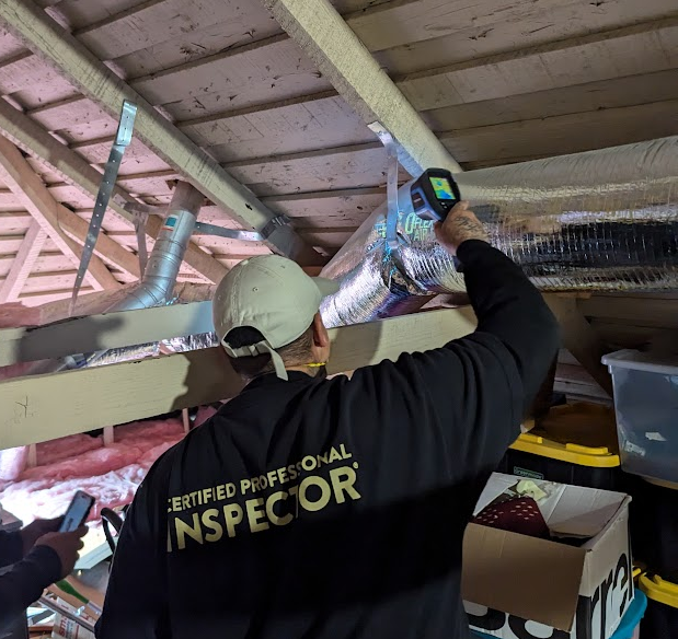 Fast Mold Testing – Sacramento