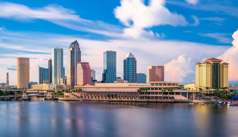 Fast Mold Testing – Tampa