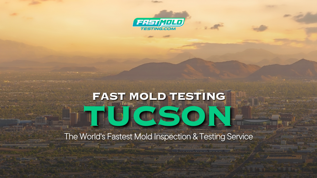 Fast Mold Testing – Tucson