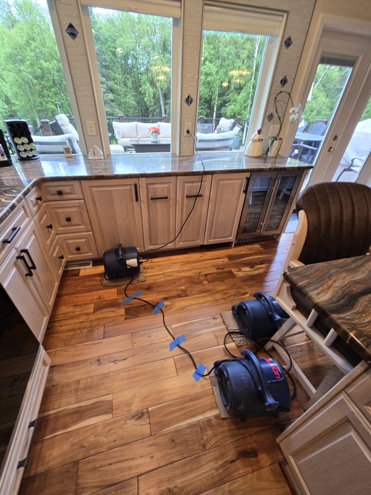 Fire & Flood Services Inc
