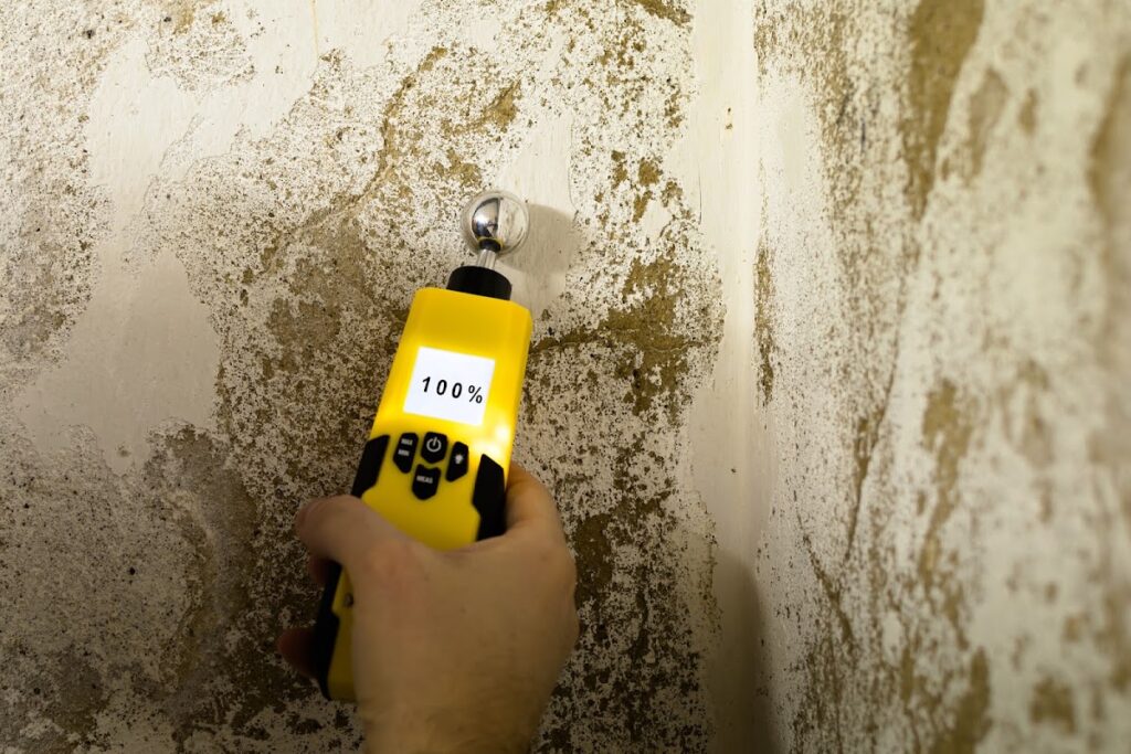 Florida Mold Masters of Southeast Jacksonville