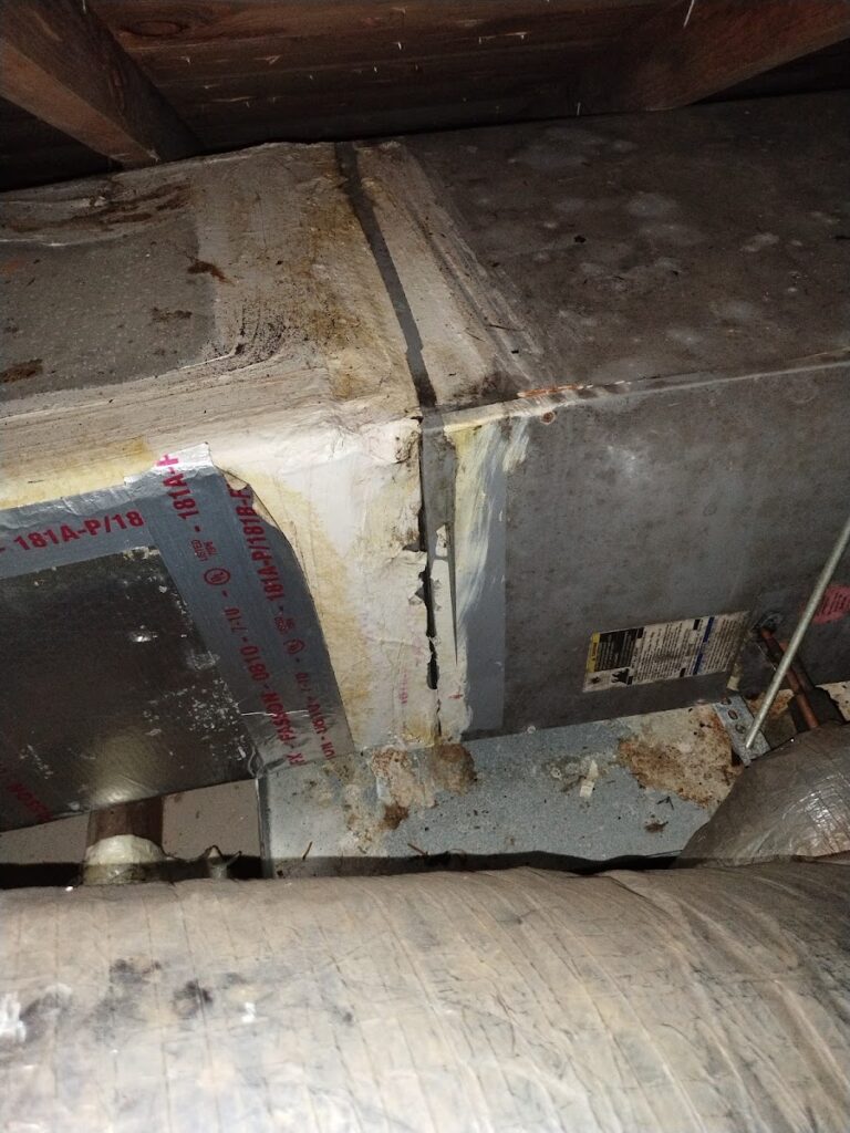 Florida Mold Testing Experts Tampa, LLC