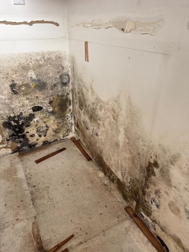Frontier Restoration LLC