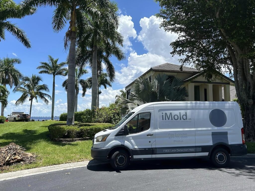 iMold Cleaning and Restoration – Water Damage and Mold Removal Specialists
