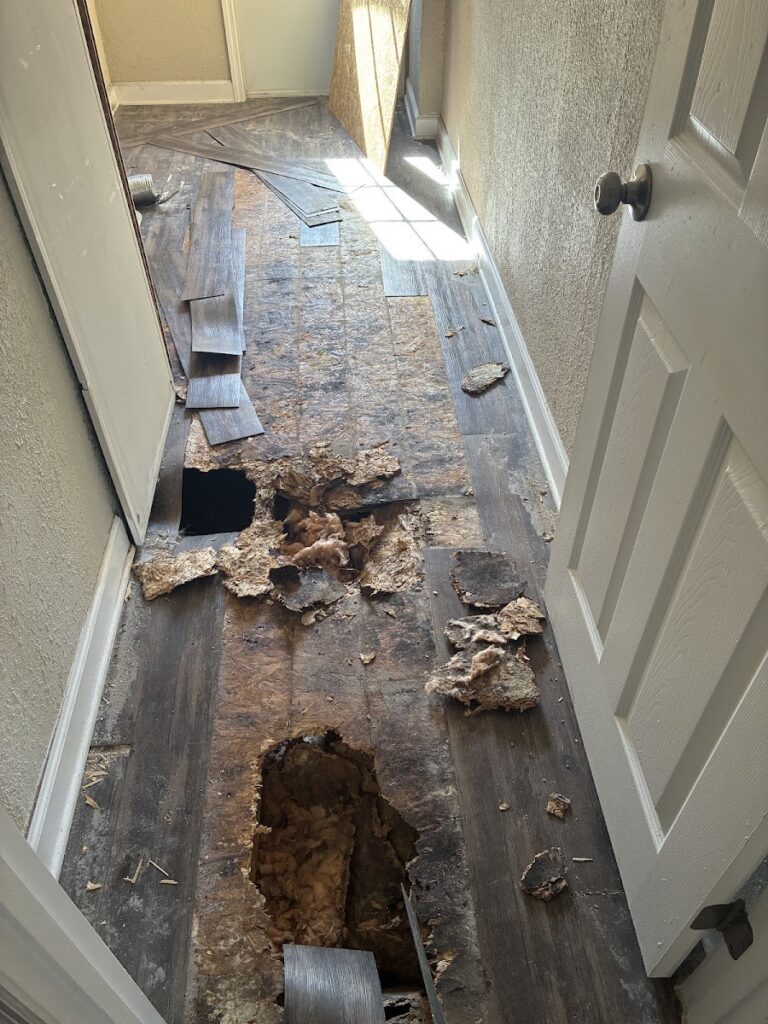 Jax Restoration Solutions