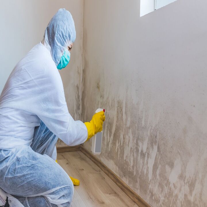 Lucie Mold Inspections