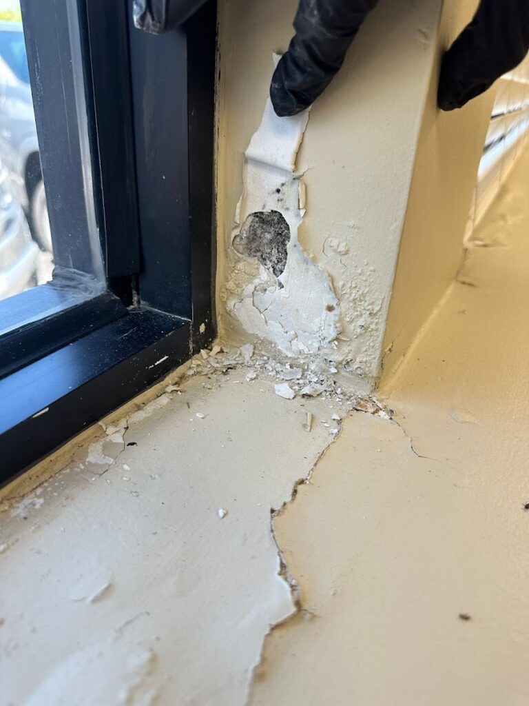 Mold and Environmental
