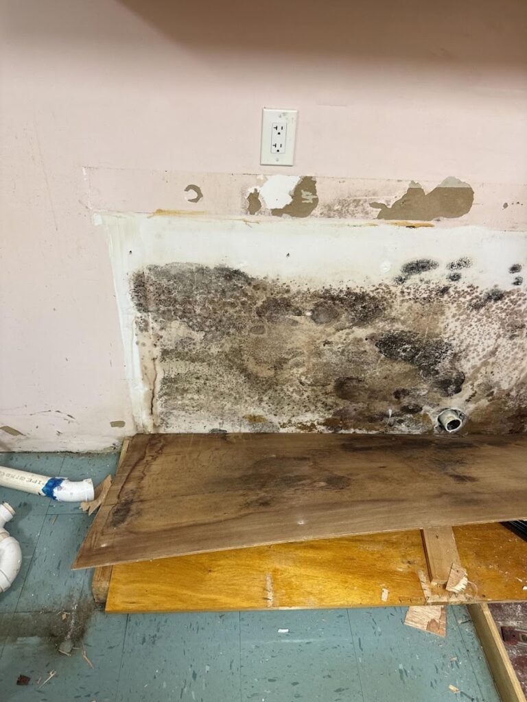 Mold Doctor Pro