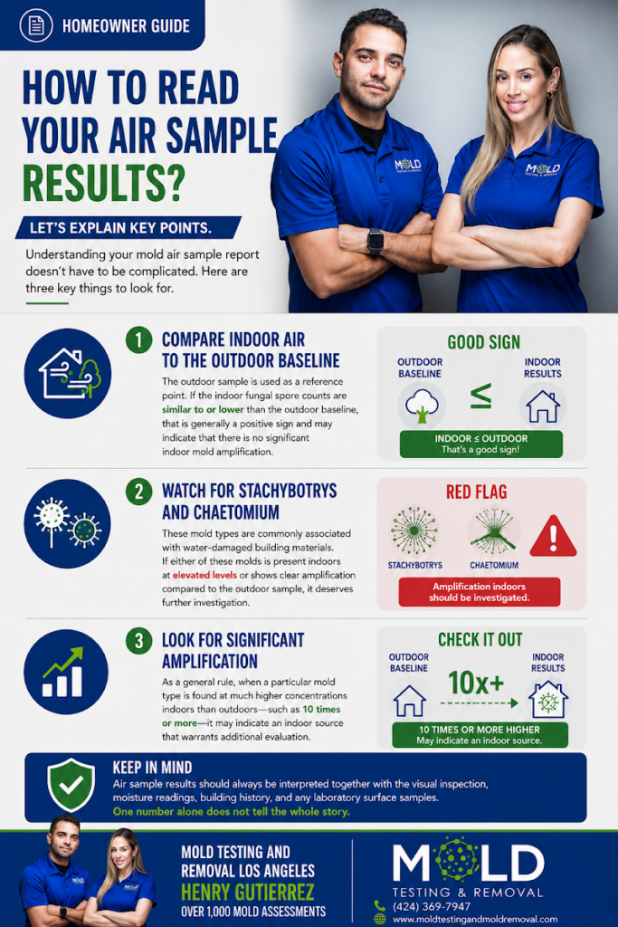 Mold Experts Los Angeles