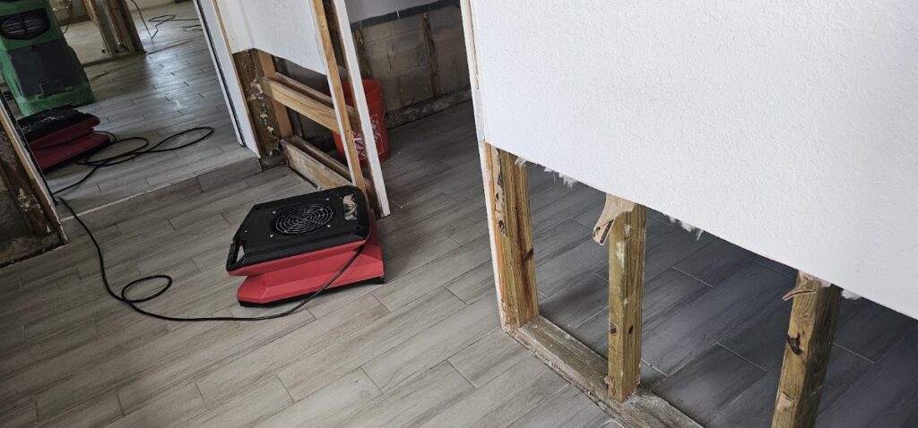 Mold Experts of SWFL
