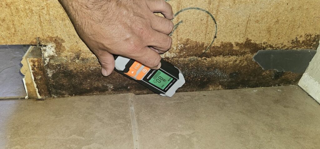 Mold Inspection Service