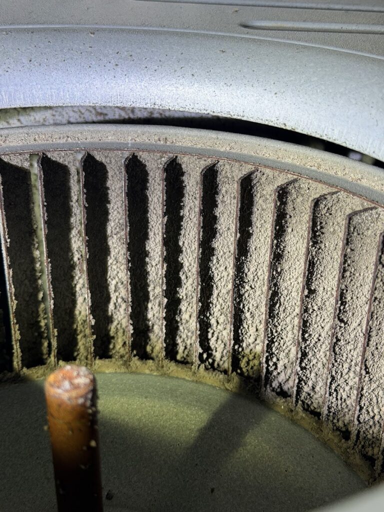 Mold Inspectors of Florida