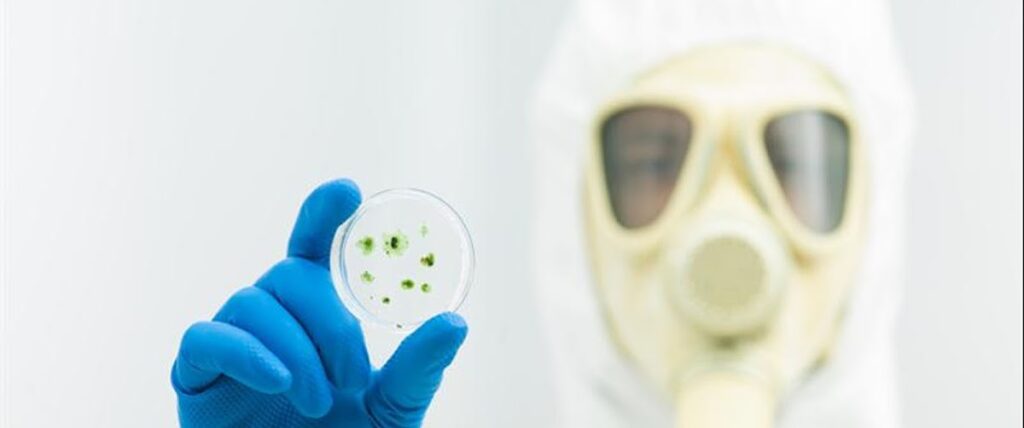 Mold Investigators