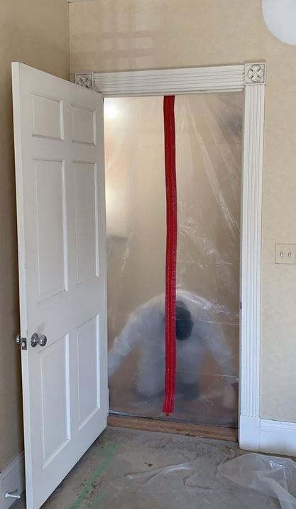 Mold Remediation Los Angeles Experts