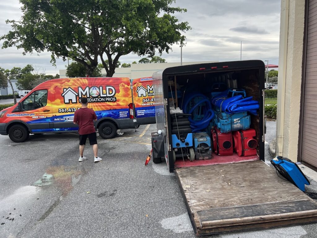 Mold Remediation of Naples