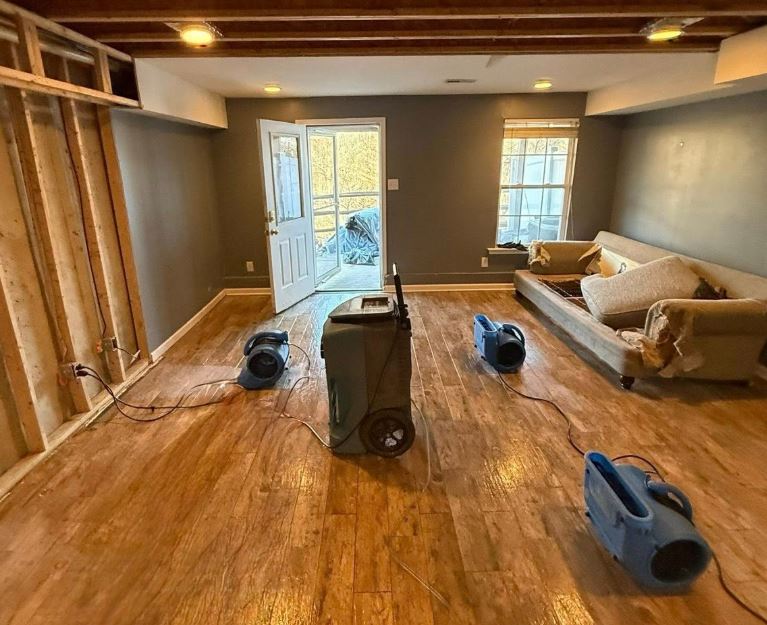 Mold Remediation Tampa Guys