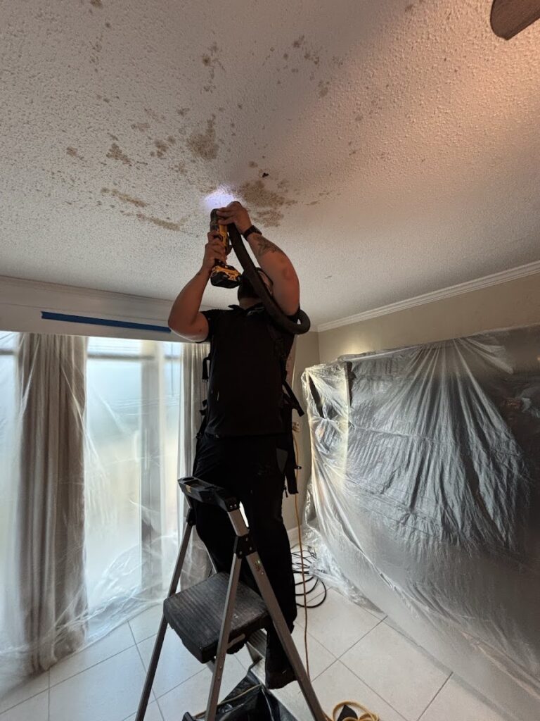 Mold Solutions Tampa Bay