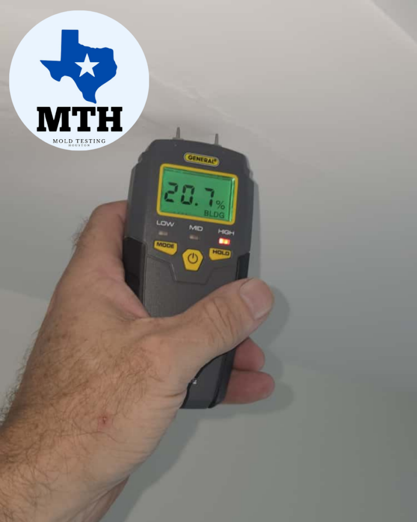 Mold Testing Houston- North Loop