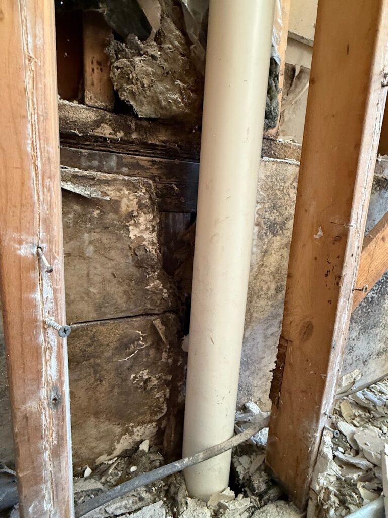 No Mold Atlanta