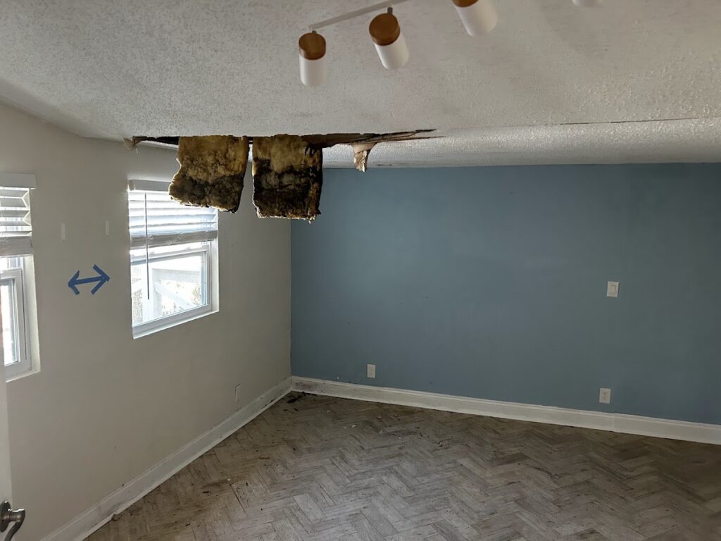 Orlando Mold Testing Expert