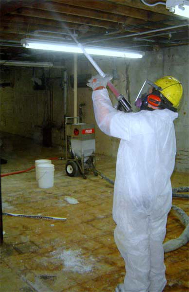 Phoenix Mold Removal