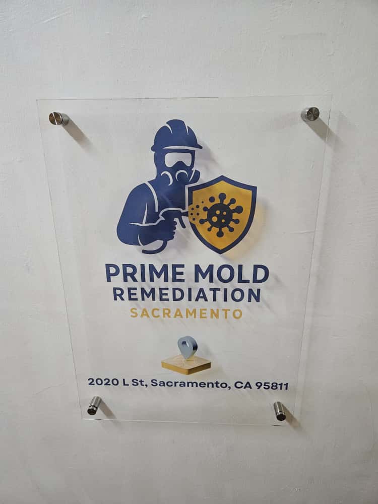 Prime Mold Remediation Sacramento
