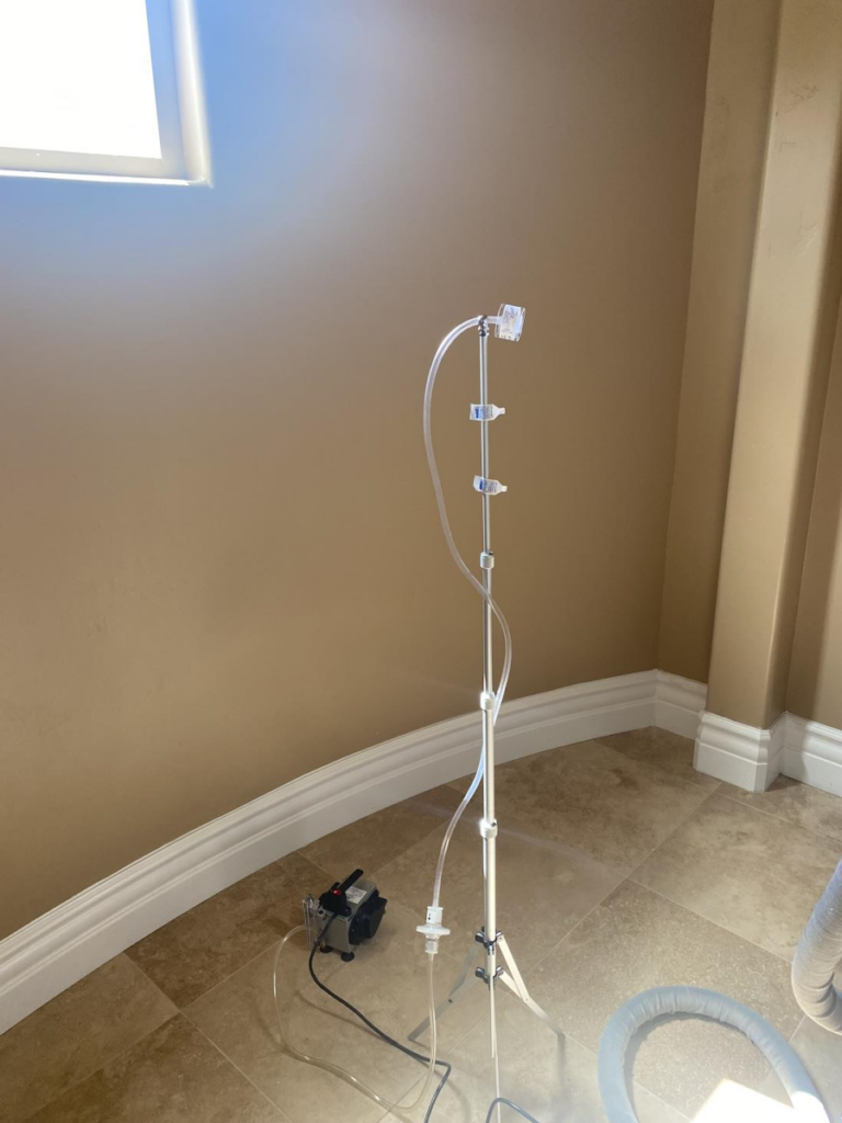 Professional Mold Inspections