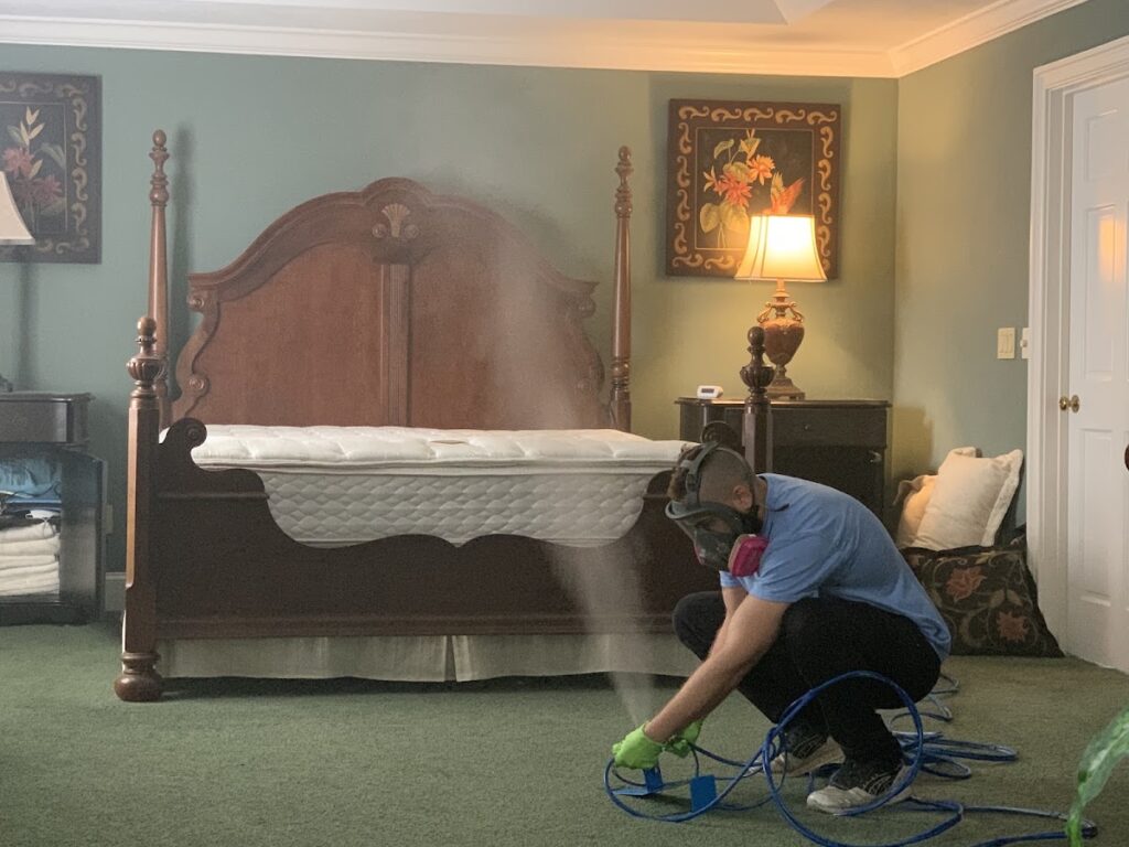 Pure Maintenance Mold Remediation – Jacksonville Beach