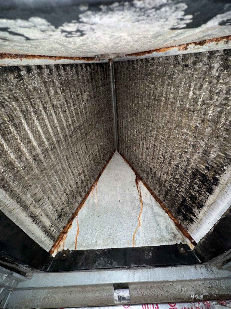 Pure Maintenance Mold Remediation – Orange Park