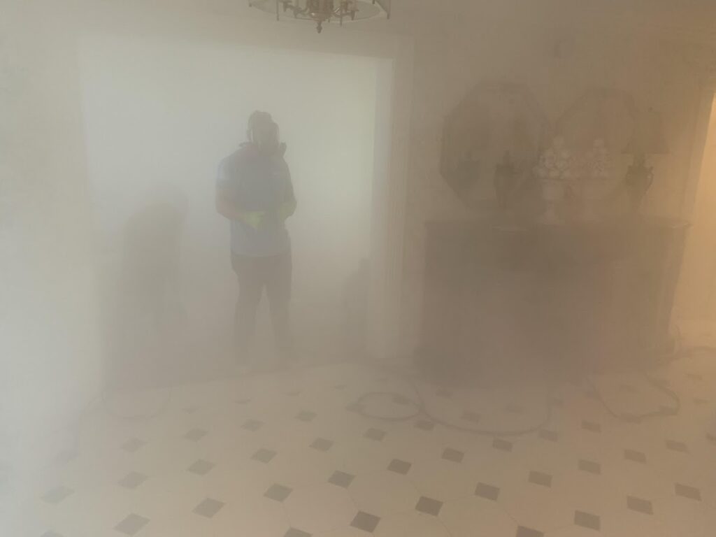 Pure Maintenance Mold Remediation – Orlando